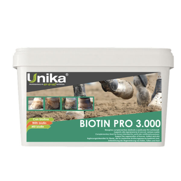 biotiinilisand Biotin Pro Unika