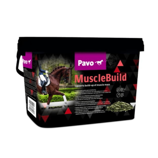 Pavo Musclebuild