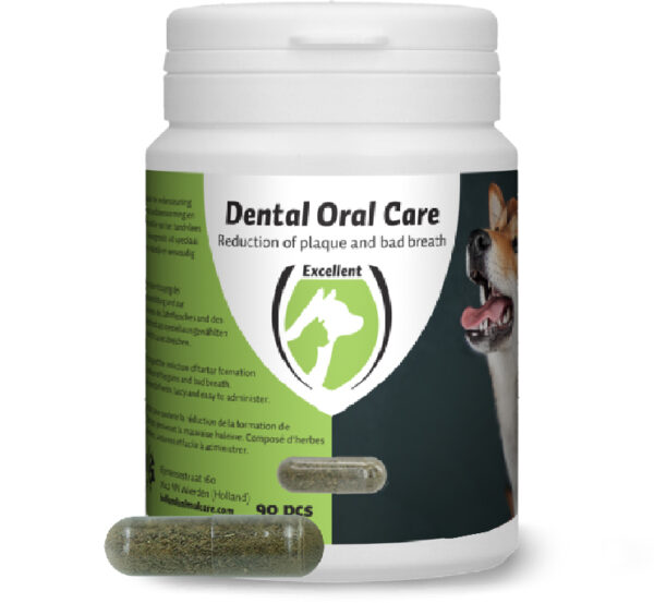 Dental Oral Dog