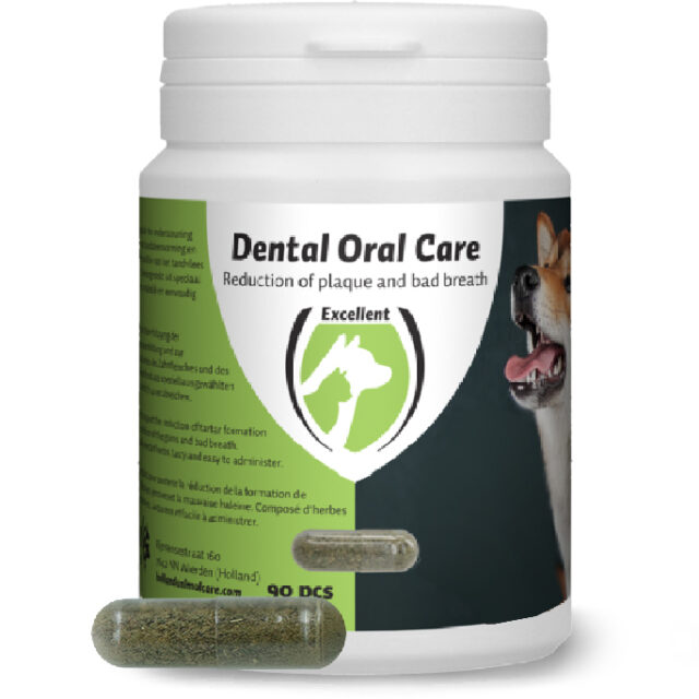 Dental Oral Dog