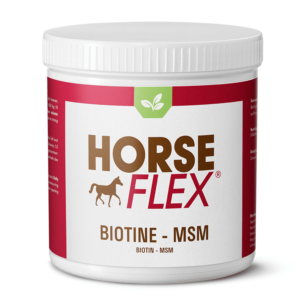 Biotiin MSM Horseflex