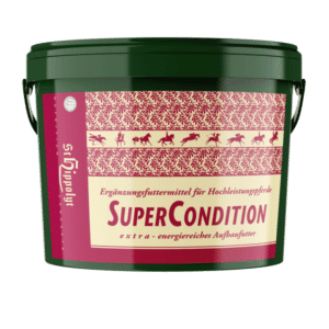 Hippolyt Super Condition