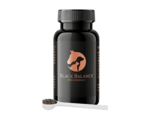 BlackBalance loomadele