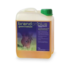 Brandon-Gastro-Balsam.webp