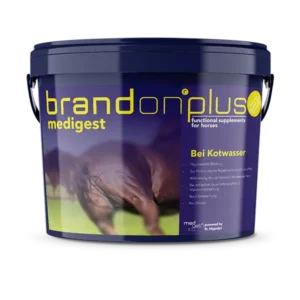 Brandon Medigest