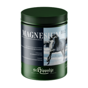 Hippolyt Magnesium