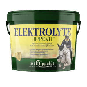 Elektrolüüdid & taastumine