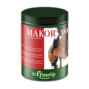 Hippolyt Makor