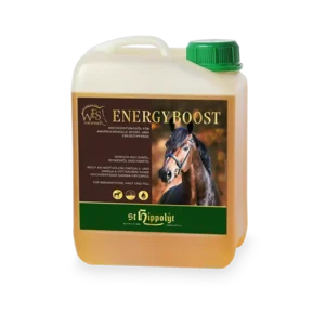 WES Energy boost