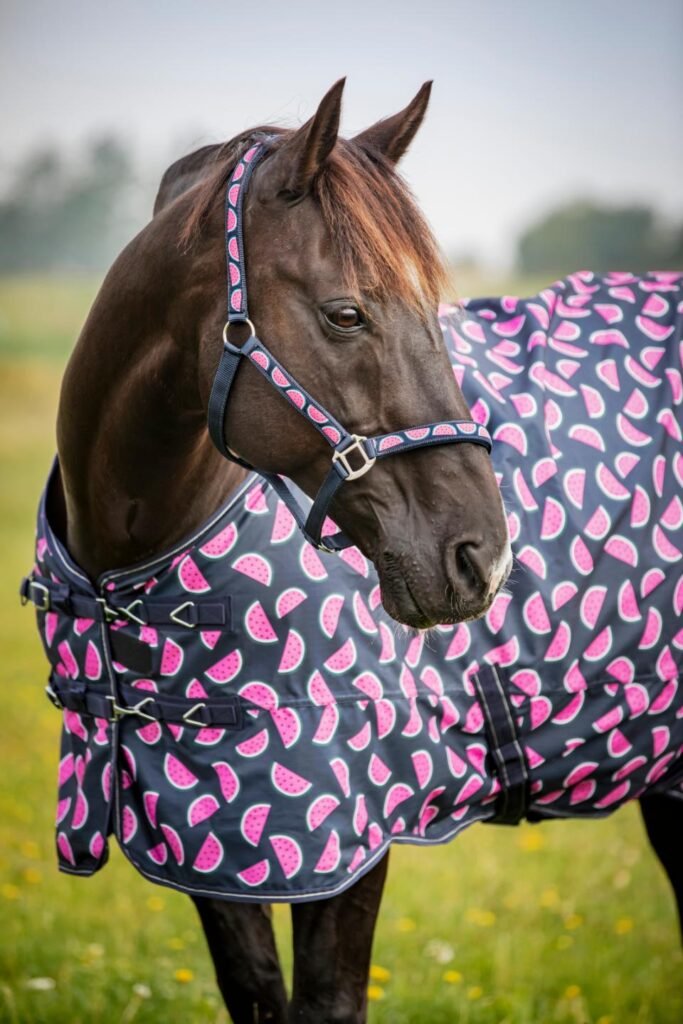 Horseguard melon vihmatekk 6