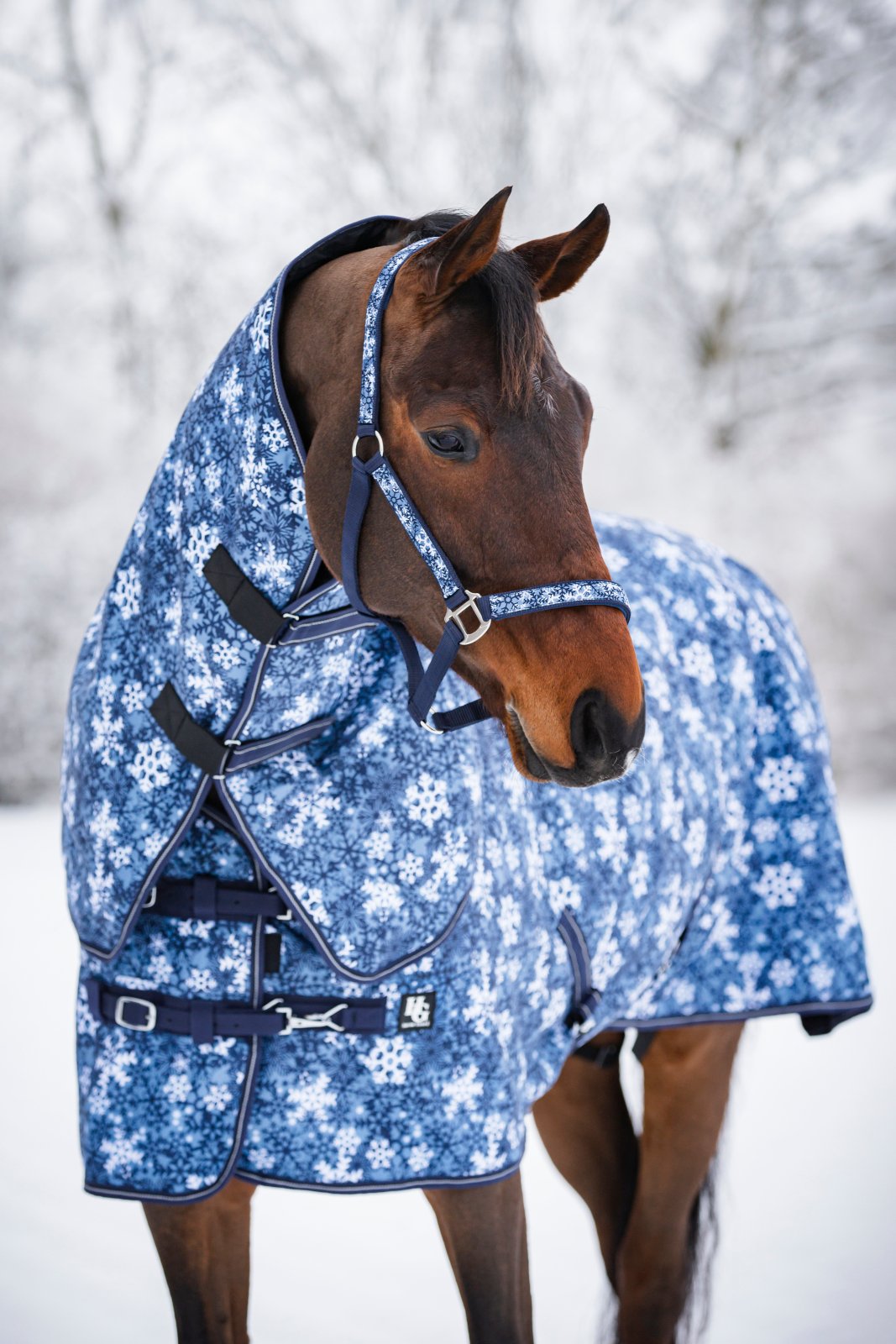 Horseguard Snowflake õuetekk 200g