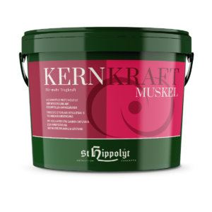 kernkraft muskel