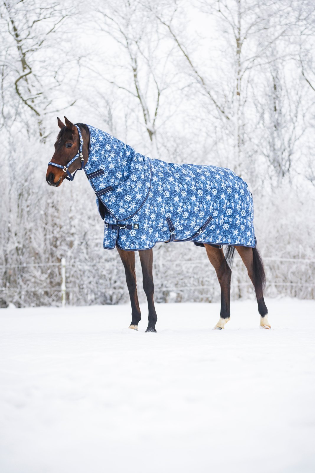 Horseguard Snowflake õuetekk 200g